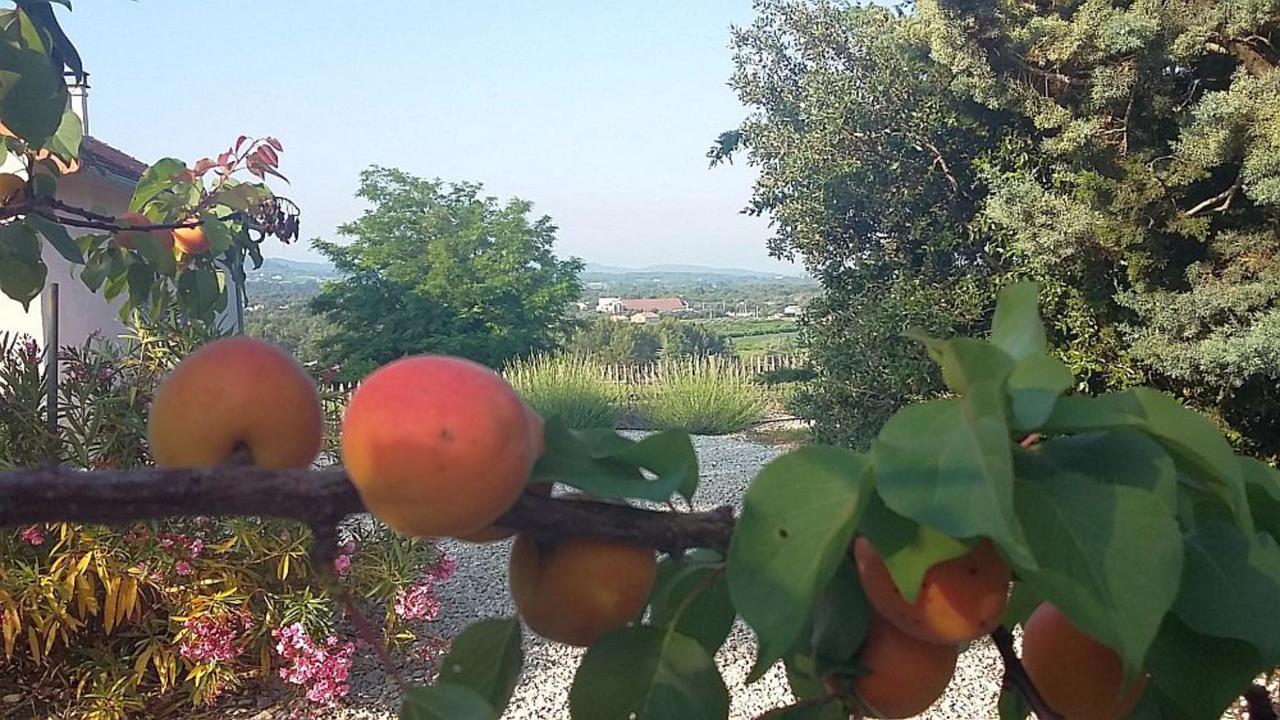 Bed and Breakfast Masmazan Zewnętrze zdjęcie